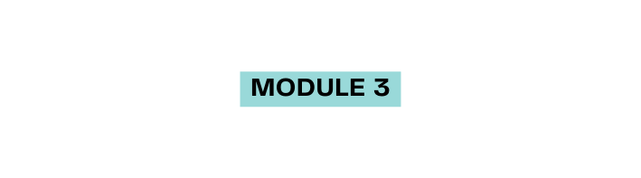 module 3